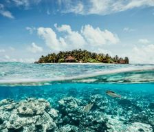 Maldives Gaafu Atoll Gaafu Alifu Atoll vacation rental compare prices direct by owner 13712847