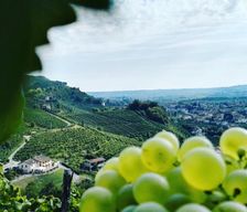 Italy Veneto Farra di Soligo vacation rental compare prices direct by owner 19079706