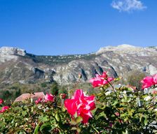 Slovenia  Bovec vacation rental compare prices direct by owner 7653668