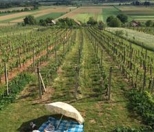 Slovenia  Filovci vacation rental compare prices direct by owner 13759853