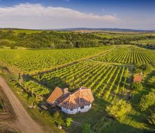 Croatia  Kutjevo vacation rental compare prices direct by owner 13566448