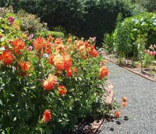 Australia Tasmania Boat Harbour vacation rental compare prices direct by owner 14137535