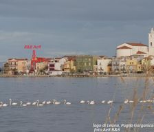 Italy Apulia Lesina vacation rental compare prices direct by owner 17767352