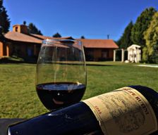 Argentina Mendoza Province Ciudad Lujan de Cuyo vacation rental compare prices direct by owner 3383942