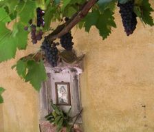 Switzerland TI Lugano vacation rental compare prices direct by owner 5090717