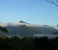 Australia Queensland Cape Tribulation vacation rental compare prices direct by owner 18081836