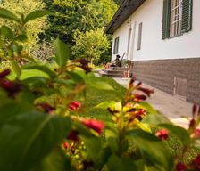 Austria  Leutschach vacation rental compare prices direct by owner 13753374