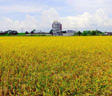 Taiwan Yilan County Zhuangwei vacation rental compare prices direct by owner 13890440