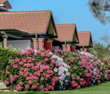 Italy  Montalto di Castro vacation rental compare prices direct by owner 14339380