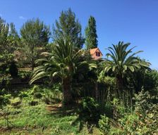 Portugal Madeira Islands Porto da Cruz vacation rental compare prices direct by owner 4881258