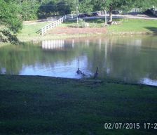 United States Mississippi Hattiesburg vacation rental compare prices direct by owner 29817112