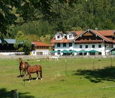 Austria Tyrol Pinswang vacation rental compare prices direct by owner 13916470
