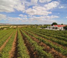 Australia SA Lyndoch vacation rental compare prices direct by owner 6591858
