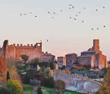 Italy Lazio Tuscania vacation rental compare prices direct by owner 14183613