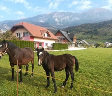 Slovenia Gorenjska Žirovnica vacation rental compare prices direct by owner 7331654