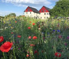 Germany BW Grünkraut vacation rental compare prices direct by owner 5124712