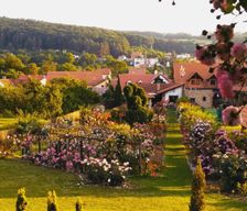 Czechia South Moravian Region Radějov vacation rental compare prices direct by owner 13415048