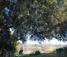 Italy Toscana Firenze vacation rental compare prices direct by owner 3927239