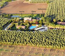 Italy Tuscany Castagneto Carducci vacation rental compare prices direct by owner 4617183