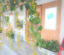 Thailand Chiang Mai Province Chiang Mai vacation rental compare prices direct by owner 14214777