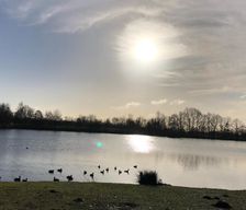 Belgium Limburg Zonhoven vacation rental compare prices direct by owner 13879075