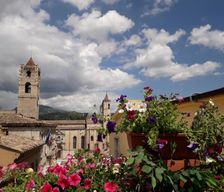 Italy  Ascoli Piceno vacation rental compare prices direct by owner 14367472