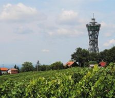 Slovenia Pomurje Lendava vacation rental compare prices direct by owner 14404208