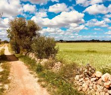 Spain  Campos vacation rental compare prices direct by owner 14844238