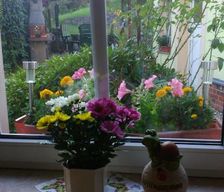 Germany SN Döbeln vacation rental compare prices direct by owner 4297602