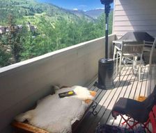 United States Colorado Vail vacation rental compare prices direct by owner 19627220