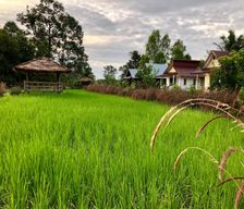 Thailand Surin Province Prasat vacation rental compare prices direct by owner 13808166