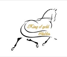 Belgium Limburg Zutendaal vacation rental compare prices direct by owner 13887150