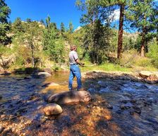 United States Colorado Estes Park vacation rental compare prices direct by owner 19392942