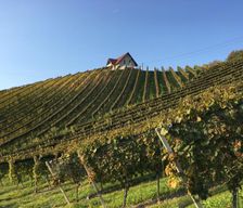 Austria  Leutschach vacation rental compare prices direct by owner 15792033