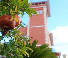 Italy Sicily Santa Flavia vacation rental compare prices direct by owner 14130967