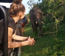 Sri Lanka Southern Province Tissamaharama vacation rental compare prices direct by owner 19425217