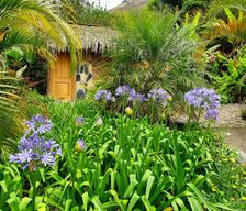 Ecuador Chimborazo Province Huigra vacation rental compare prices direct by owner 12797414