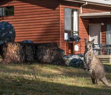 Australia Victoria Halls Gap vacation rental compare prices direct by owner 16203615