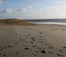 Germany Schleswig-Holstein Sankt Margarethen vacation rental compare prices direct by owner 13773353