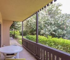 United States Texas South Padre Island vacation rental compare prices direct by owner 15989293