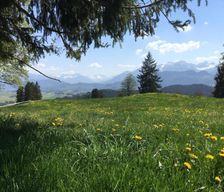 Germany Bavaria Füssen vacation rental compare prices direct by owner 18557572