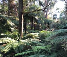 Australia Victoria Emerald vacation rental compare prices direct by owner 14187742