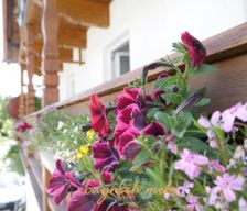 Germany Bavaria Gstadt am Chiemsee vacation rental compare prices direct by owner 4852043