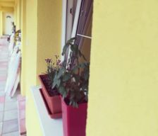 Slovakia Nitriansky kraj Zlaté Moravce vacation rental compare prices direct by owner 28085657