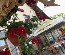 Romania Gorj Polovragi vacation rental compare prices direct by owner 13875124