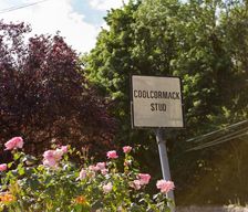 Ireland Waterford County Waterford vacation rental compare prices direct by owner 18320419
