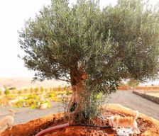 Spain Fuerteventura Puerto del Rosario vacation rental compare prices direct by owner 14043410