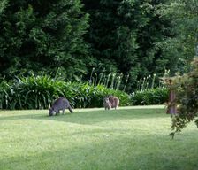 Australia New South Wales Bundanoon vacation rental compare prices direct by owner 26707773