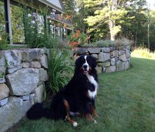 United States Maine South Berwick vacation rental compare prices direct by owner 12776244