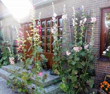 Germany Fehmarn Fehmarn vacation rental compare prices direct by owner 6373074